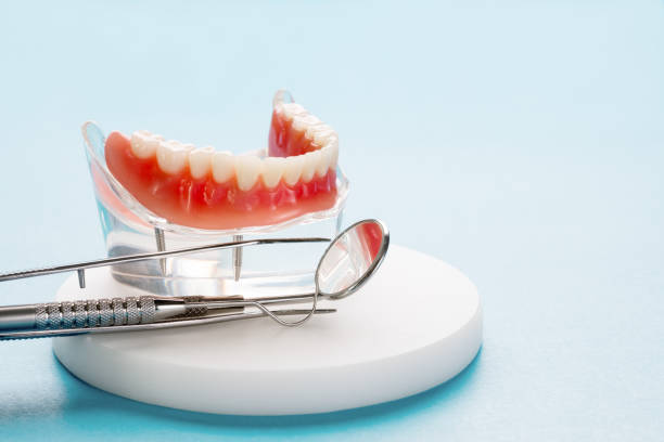 Best Dental Exams and Cleanings  in Mayo, MD
